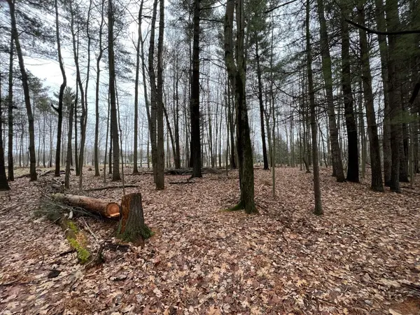 Canadian Lakes, MI 49346,9375 Taylors Turn #164