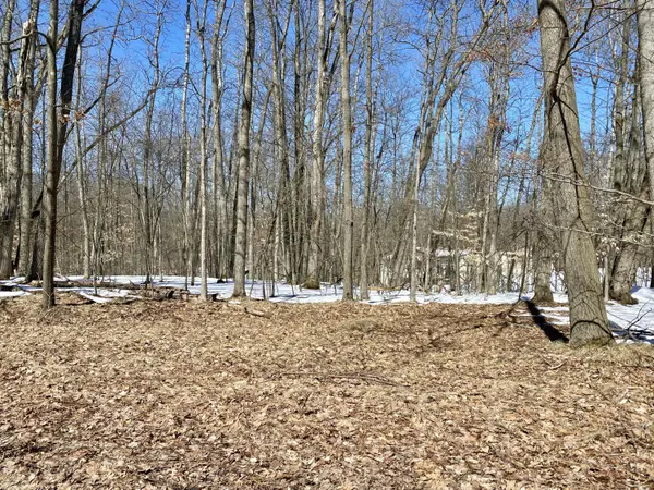 Canadian Lakes, MI 49346,10037 Rising Star LN