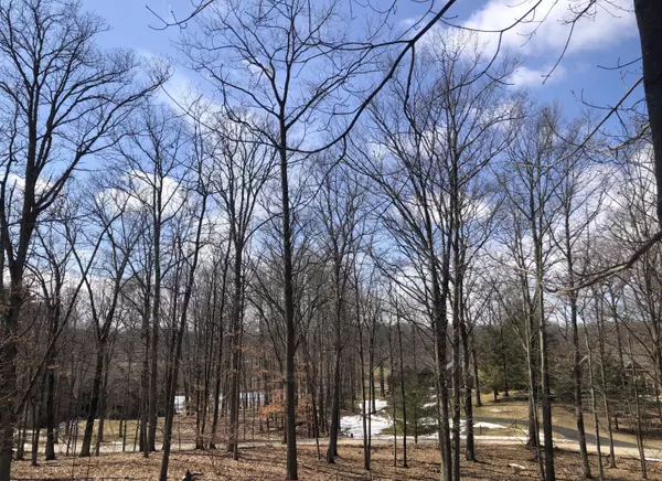 Canadian Lakes, MI 49346,9254 Briarstone DR ##26