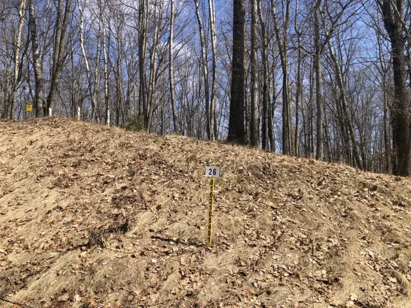 Canadian Lakes, MI 49346,9254 Briarstone DR ##26