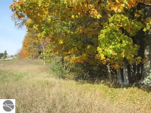 Alden, MI 49612,Lot 6 Alden Meadows