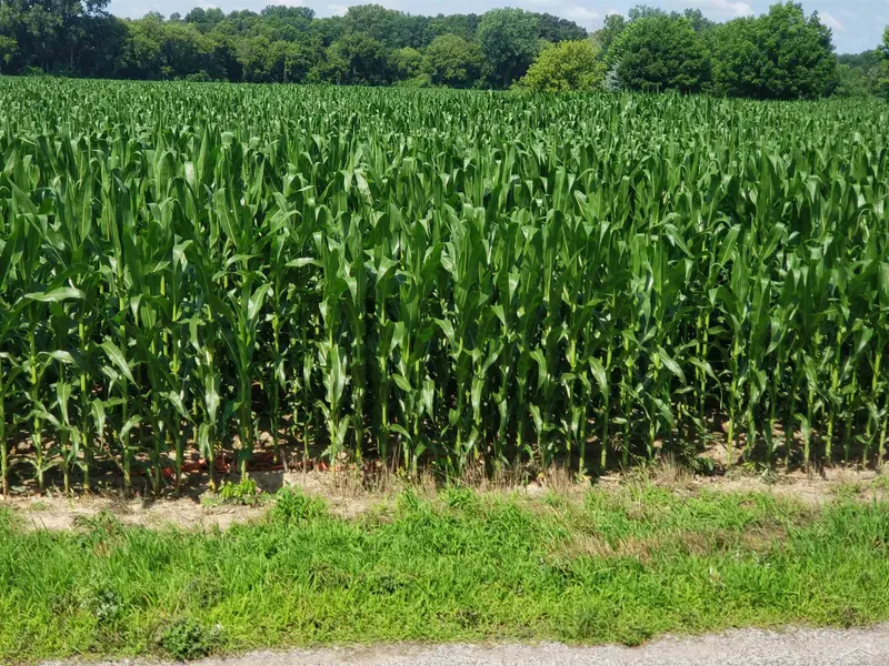 12200 Morseville, Birch Run, MI 48415