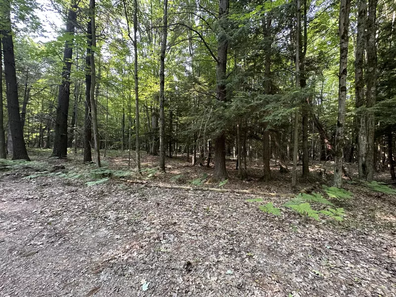 9191 Deerfield CT, Canadian Lakes, MI 49346