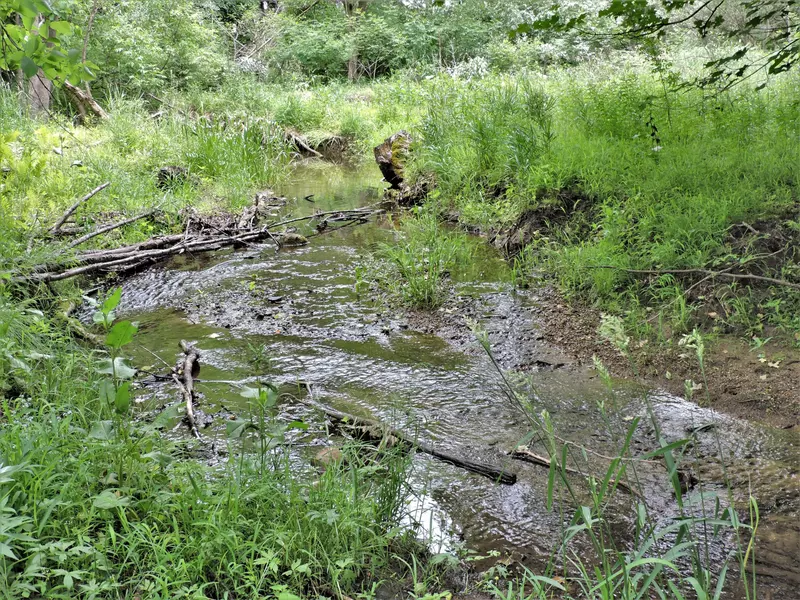 00 15 Mile RD, Big Rapids, MI 49307