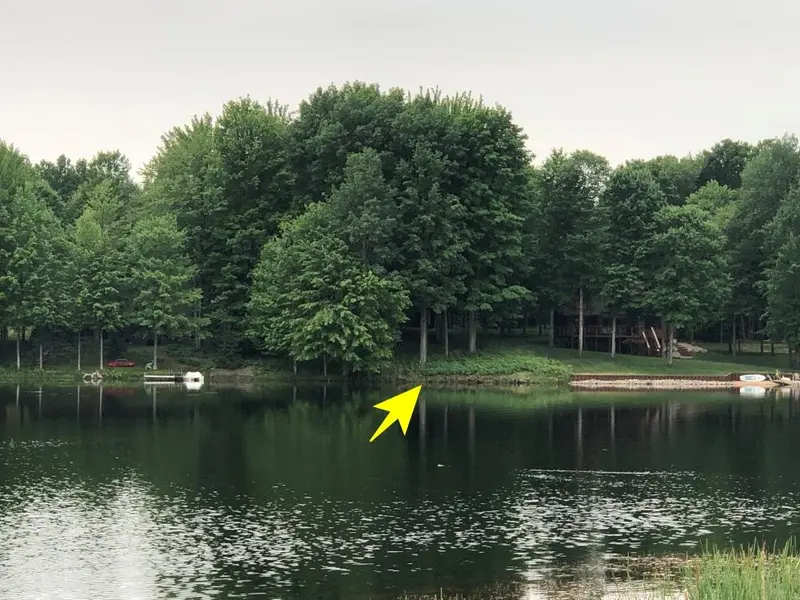 9892 Fawn Lake DR, Canadian Lakes, MI 49346