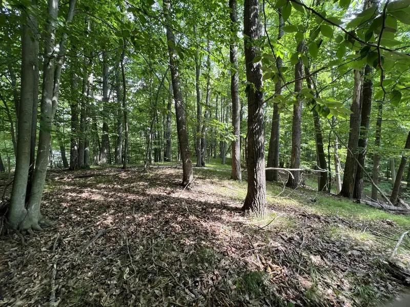 9692 Buffalo CT, Canadian Lakes, MI 49346