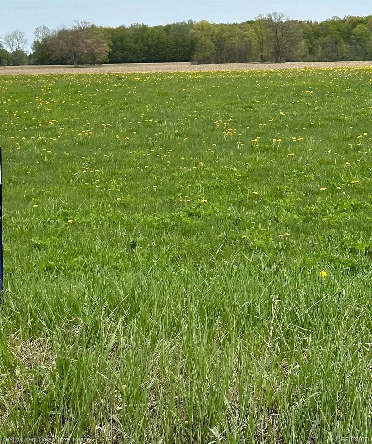 Clyde, MI 48049,0000 Vincent RD