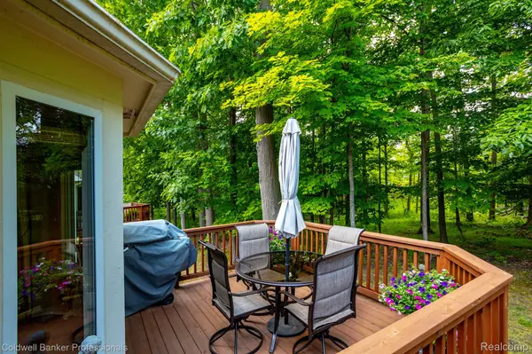 Novi, MI 48377,30141 BRIGHTWOOD DR #46