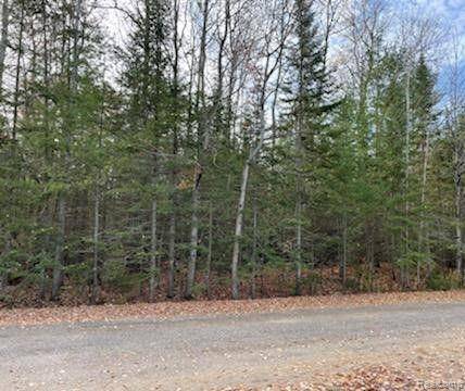 9651 HIGHBANKS DR,  Benton Twp,  MI 49721