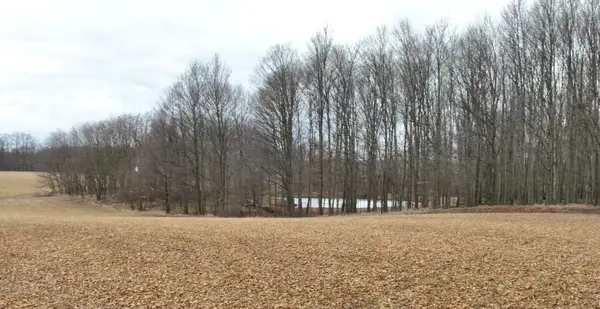 Grass Lake, MI 49240,4 & 5 Below RD