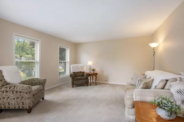 Ada, MI 49301,6441 Drumlin CT SE