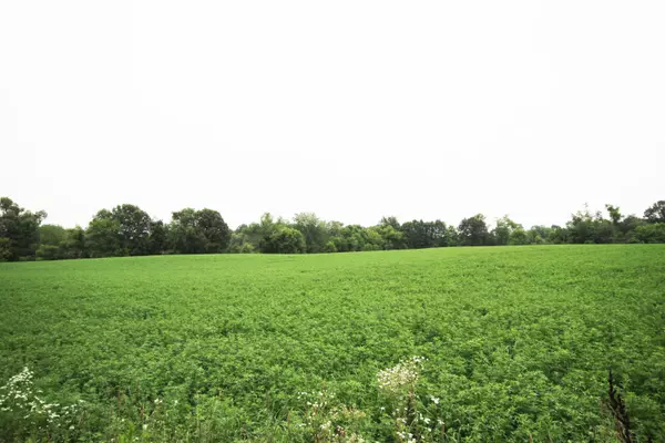 Vicksburg, MI 49097,East S AVE