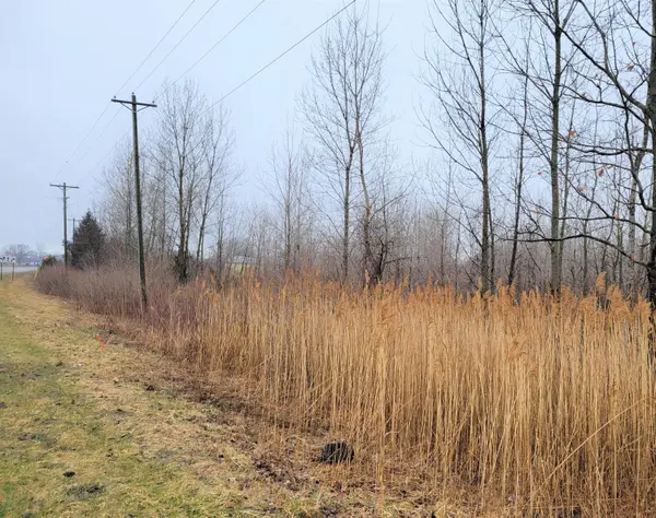 South Haven, MI 49090,09021 Blue Star HWY