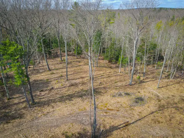 Brethren, MI 49619,4854 Swihart RD