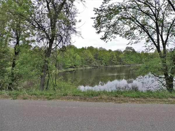 Big Rapids, MI 49307,000 Round Lake RD