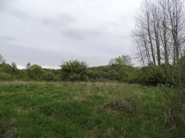 Big Rapids, MI 49307,000 Round Lake RD