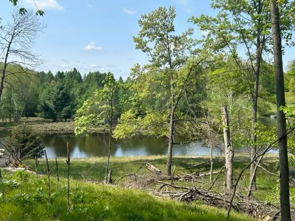 Canadian Lakes, MI 49346,9165 Golf Port DR N