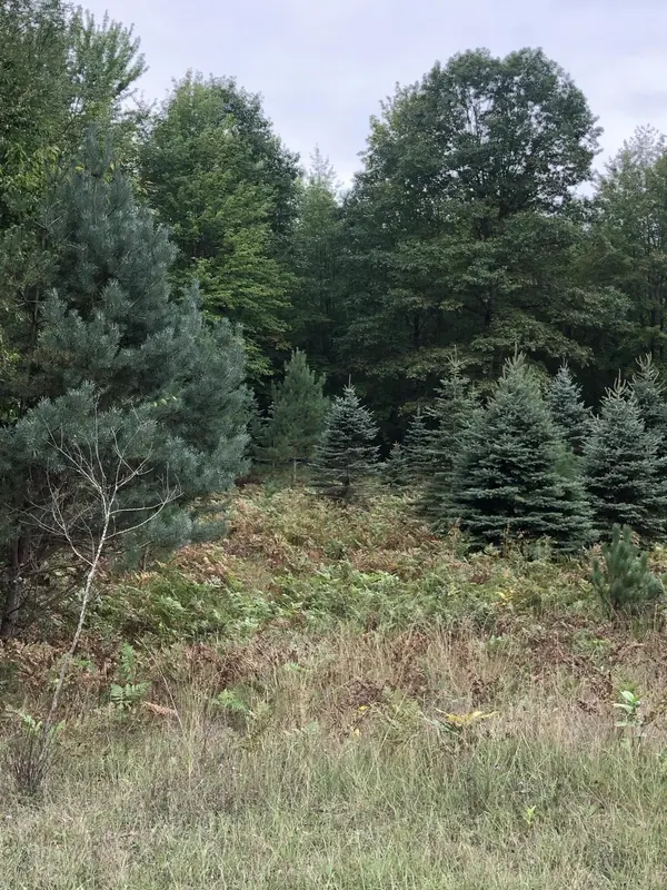 Canadian Lakes, MI 49346,6135 Fawn Lake DR