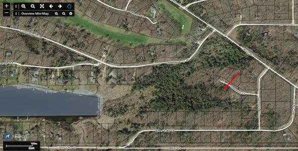 Canadian Lakes, MI 49346,9191 Deerfield CT