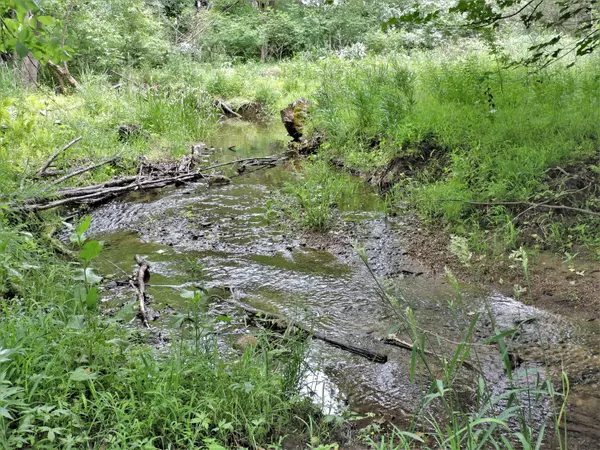 Big Rapids, MI 49307,00 15 Mile RD