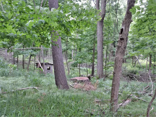 Big Rapids, MI 49307,00 15 Mile RD