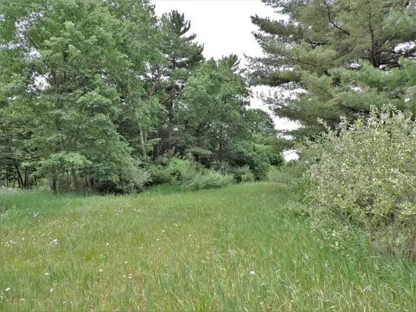 Big Rapids, MI 49307,00 15 Mile RD