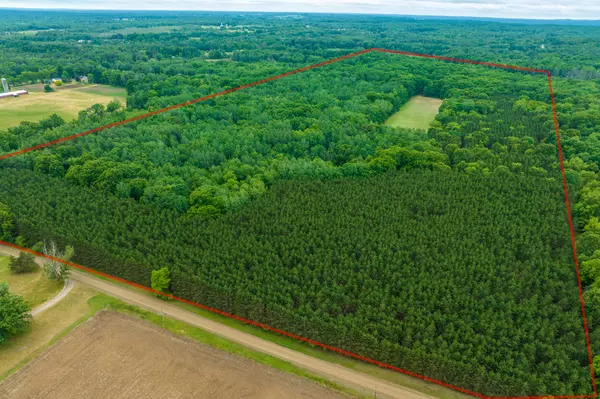 Stanwood, MI 49346,V/L 140th AVE