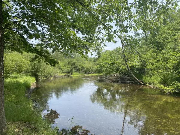 Canadian Lakes, MI 49346,6468 Dunhill DR #17/18