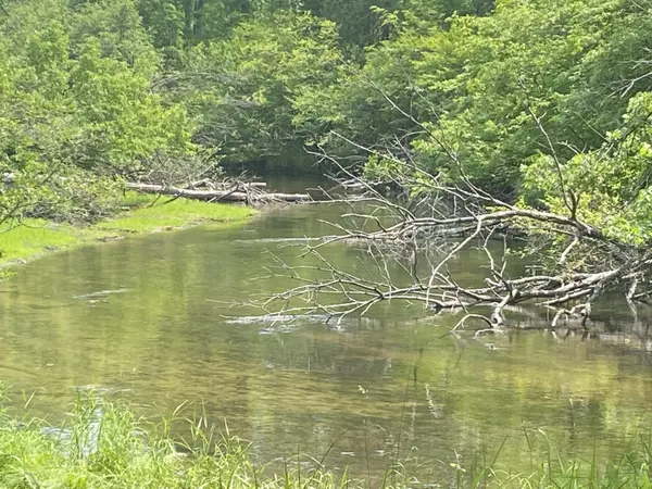 Canadian Lakes, MI 49346,6468 Dunhill DR #17/18