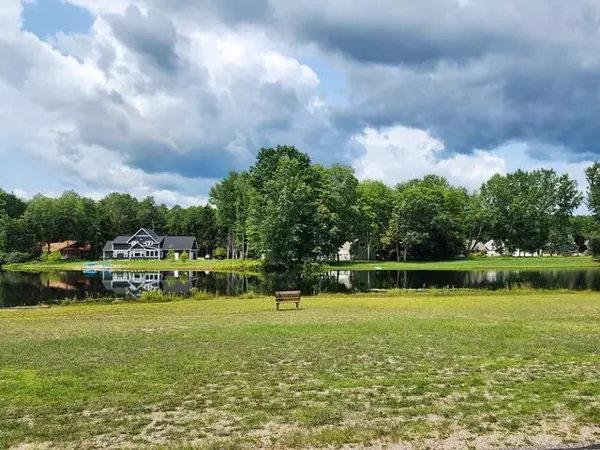 Canadian Lakes, MI 49346,9249 White Birch DR