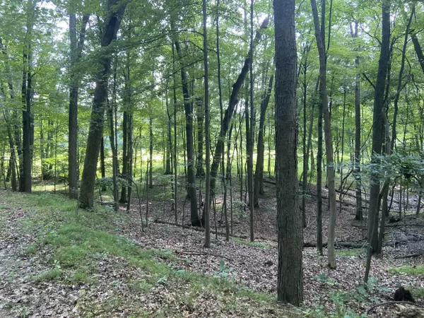 TBD Hough RD, Dryden, MI 48428