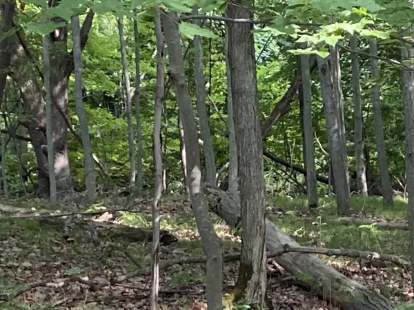 Dryden, MI 48428,TBD Hough RD