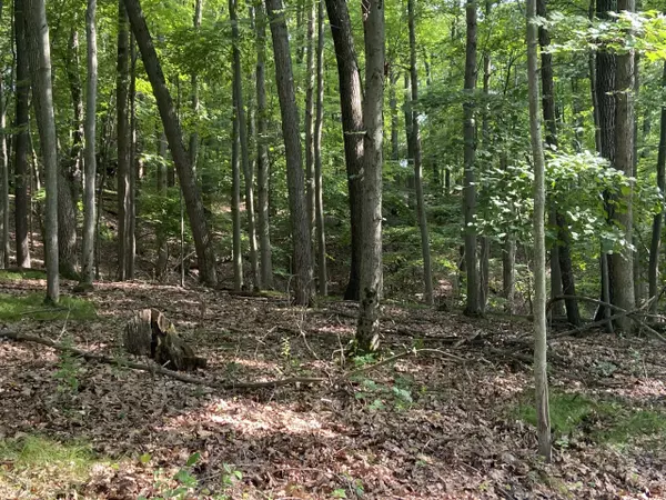 Dryden, MI 48428,TBD Hough RD