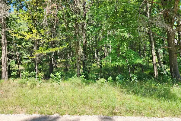 Canadian Lakes, MI 49346,10934 Thornapple DR