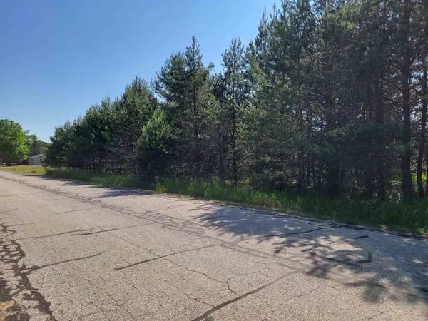 Mancelona, MI 49659,V/L Sunnyside Street