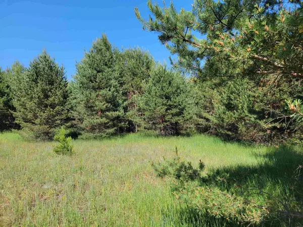 Mancelona, MI 49659,V/L Sunnyside Street