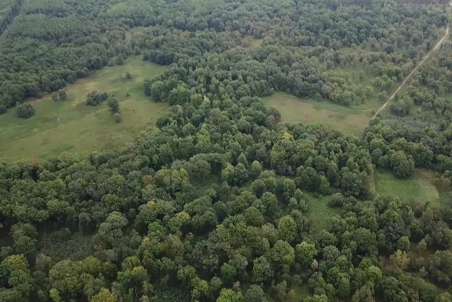 7003 Hickory DR, Big Rapids, MI 49307