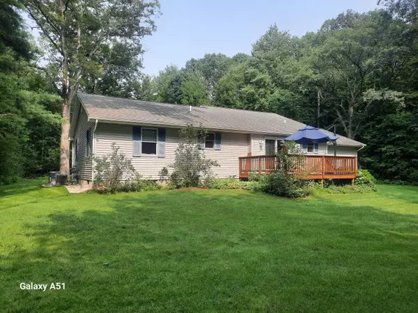 Big Rapids, MI 49307,10847 Heights Circle DR