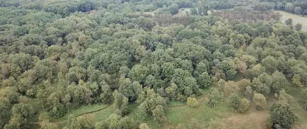 Big Rapids, MI 49307,7003 Hickory DR