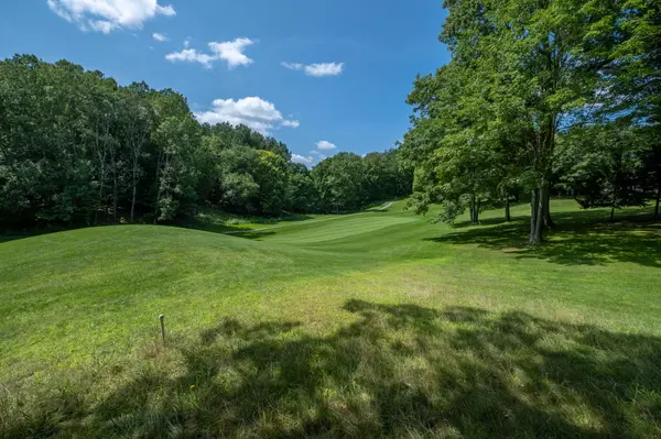 Canadian Lakes, MI 49346,9846 Center LN