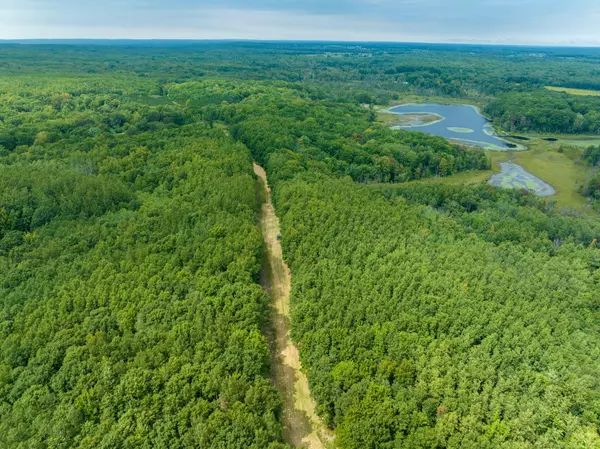 Stanwood, MI 49346,TBD 125th AVE