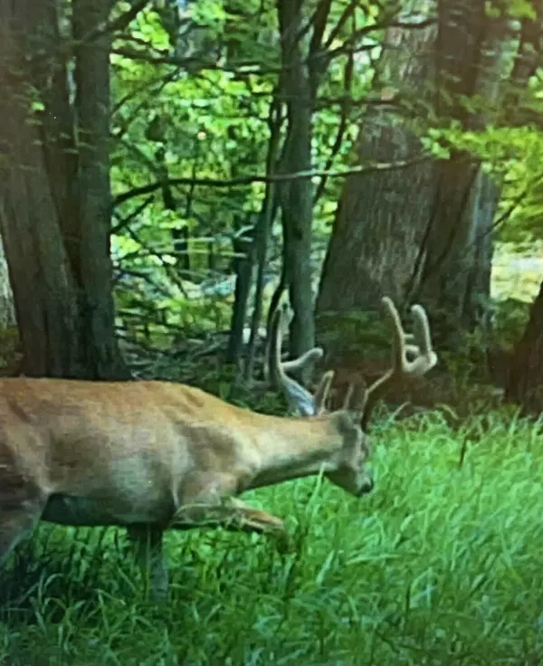 Stanwood, MI 49346,TBD 125th AVE