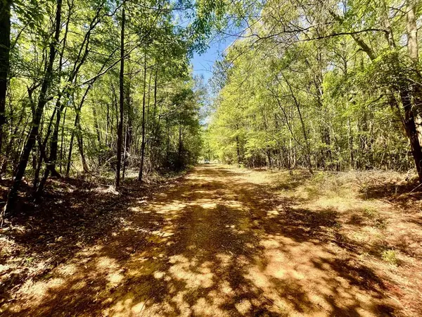 Minden, LA 71055,889 Fuller Cemetery E-5 Road