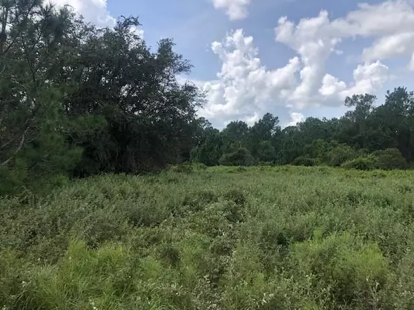 0 Old Grade Rd, Other City - In The State Of Florida, FL 33868
