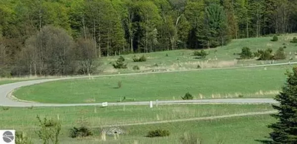 Alden, MI 49612,Lot 38 Alden MDWS