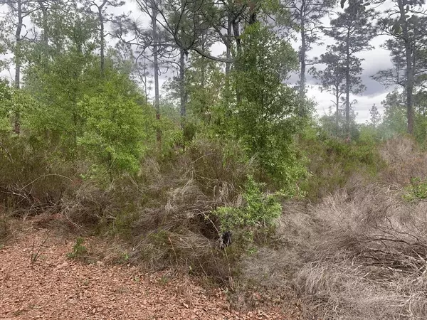 Interlachen, FL 32148,0 Somerset Ave