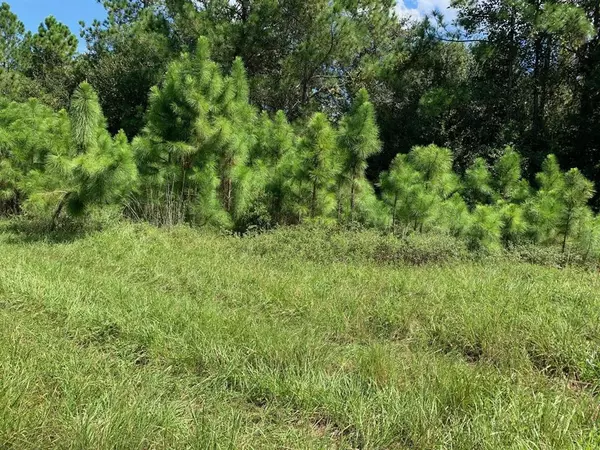 0 Old Grade Rd, Other City - In The State Of Florida, FL 33868