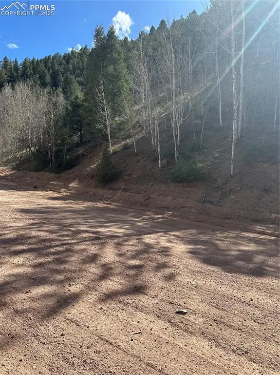 Divide, CO 80814,County Road 61