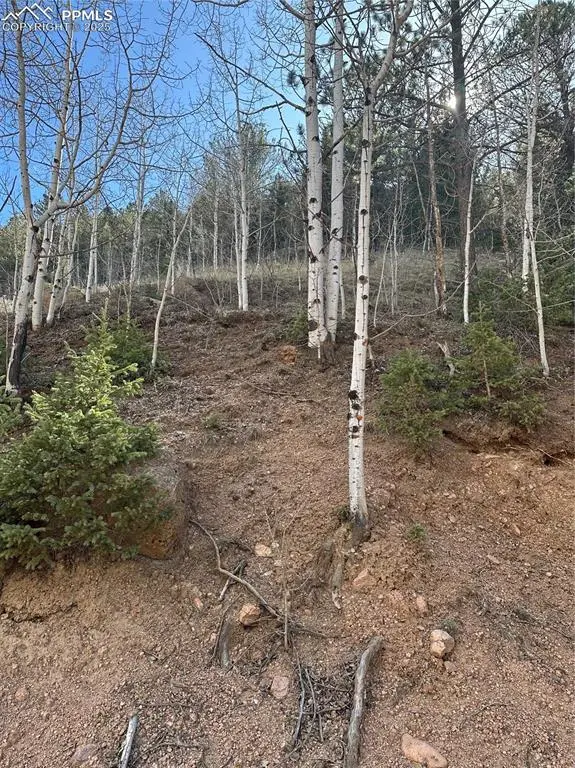 Divide, CO 80814,County Road 61