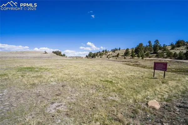 Hartsel, CO 80449,445 Arapahoe RD